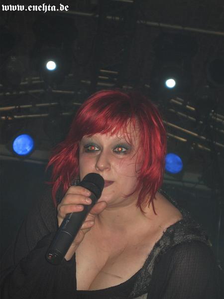 Lame Immotrelle vom 20.02.2008-010.jpg